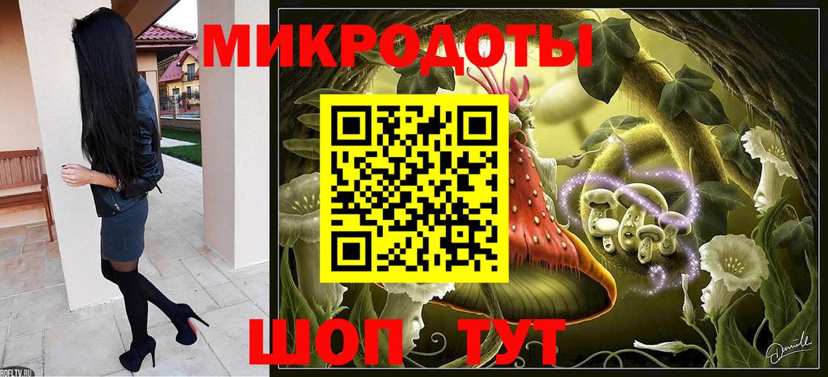 Галлюциногенные грибы Psilocybe Кисловодск