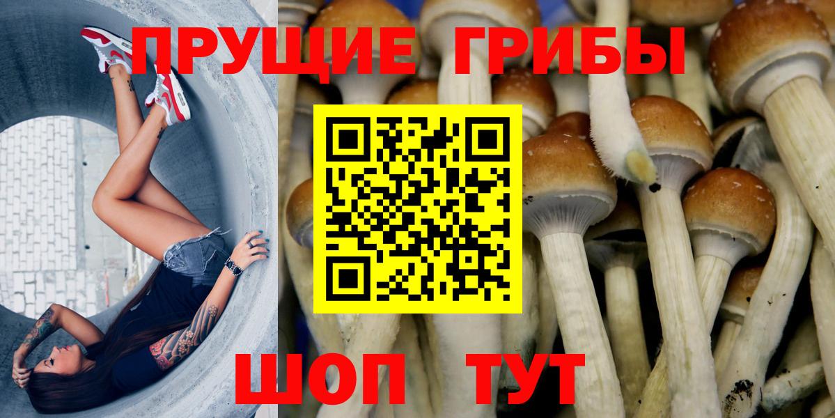 Кисловодск  Галлюциногенные грибы прущие грибы  Вход с VPN 